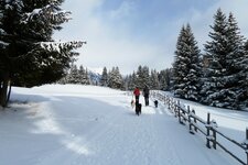 vigiljoch winter wanderweg wanderer