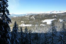 winter wald schlern und rosengarten