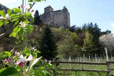 schloss dornsberg tarantsberg