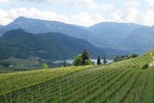 kaltern weinberge blick richtung kalterer see