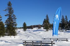 langlaufen langlauf loipen villanderer alm