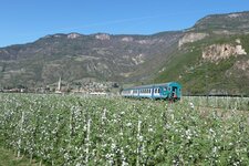 apfelbluete bei terlan zug eisenbahn