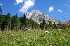 wiesen unter dem wuerzjoch blick auf peitlerkofel