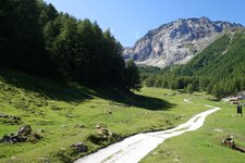 wiesen goeflaner alm