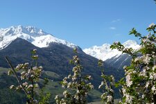 obstbluete und laaser orgelspitz