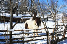 st lorenzen moos winter