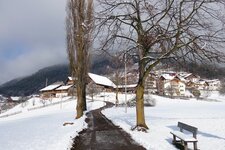 blick auf afing dorf winter fr