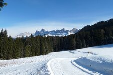 obereggen wanderweg winter blick auf rosengarten