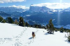 winter aussicht groeden raschoetz zu den dolomiten langkofel saslong und hund