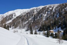 silvestertal winter toblacher hoehenweg bei silvesteralm dahinter strickberg und marchkinkele