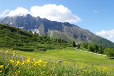 zirogalm enzianhuette almwiesen dahinter daxspitze