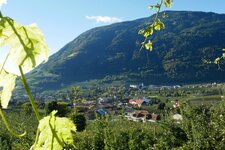 rebenlandschaft am burgenweg oberhalb von algund und mitterplars