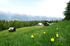 wiesen und almhuetten oberhalb von getzenberg