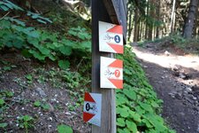 mtb strecken wegweiser weg von trudner horn nach truden