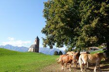 st kathrein bei hafling und haflinger zucht pferde