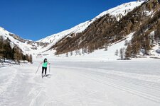 schlinig tal langlauf bei schliniger alm