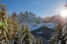 Villnoess Geisler Wald Schnee Winter