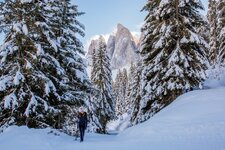 Villnoess Geisler Rodeln Schlitten Wald Schnee Winter