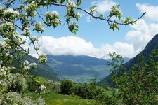 fruehling im muenstertal