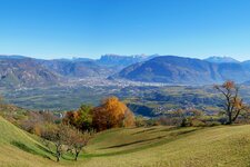 herbst aussicht auf bozen ab buchwald Pano