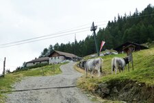 tarscher alm strasse