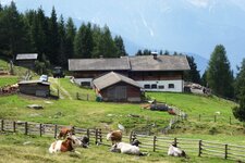 taistner alm