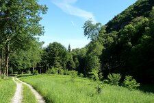 forstweg valplon kalterer unterberg