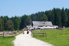 schoenrast alm malga belriposo aldein