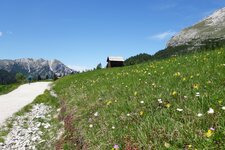 fruehling wiesen plaetzwiese fr