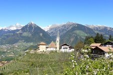 st georgen bei schenna fruehling