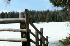 Felixer Weiher Deutschnonsberg P