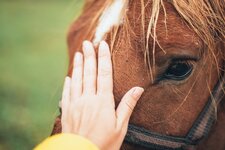 Reiten Ulten