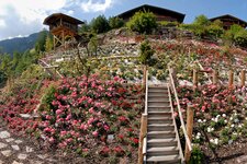 Rosarium Panorama