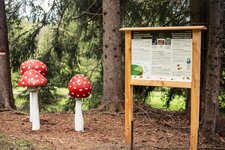 Sterzing Fruehling