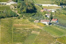 Zollweghof