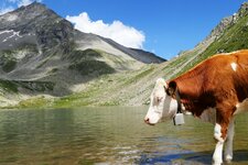 gampilalm eisbruggsee