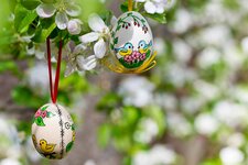 ostern ostereier apfelbluete