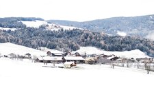 Gifen Rodeneck Winter