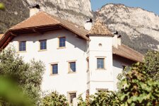 Weinhof von Payr Pfitscher Haupt