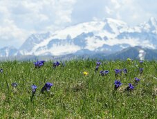 Naturpark Fanes Sennes Prags Alta Badia