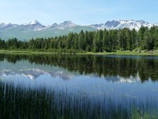 samnaungruppe spiegelt sich in schwarzer see von nauders