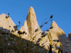 Gebirge Immagine