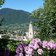 meran altstadt von tappeinerweg aus blumen