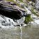 Duerrenstein Pragser Dolomiten Wasser Brunnen