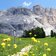 col de tramesc blick auf heiligkreuzkofel und trollblumen