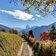 herbst blick richtung groeden mit sella langkofelgruppe