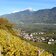 herbst weinreben tscherms blick richtung ifinger