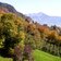 partschins vertigen wald herbst