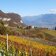 penon weinberge herbst blick richtung hofstatt und graun