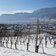 winter weinberg bei neumarkt castelfeder weinstrasse